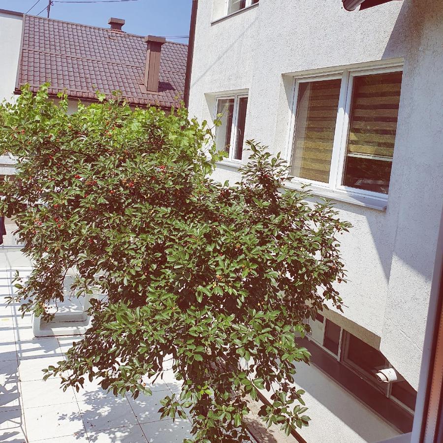 Apartments Arna 维索科 外观 照片